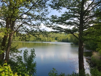 Silbersee Frielendorf