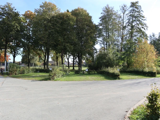 Wohnmobilstellplatz Ein kleiner, grüner Park mit hohen Bäumen und einem asphaltierten Weg unter klarem, blauem Himmel.