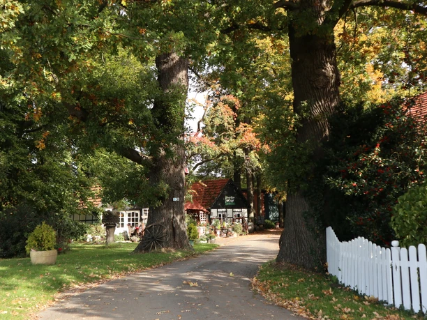 Hof Rodenbeckenschnieder Ein Bauernhof mit roten Dächern, umgeben von alten Eichen und herbstlicher Vegetation.