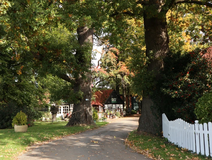 Hof Rodenbeckenschnieder Ein Bauernhof mit roten Dächern, umgeben von alten Eichen und herbstlicher Vegetation.