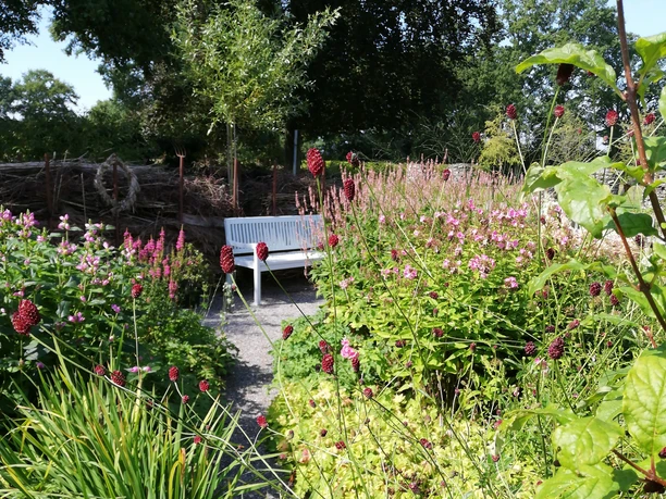 IMG_20220819_115739 2.jpg