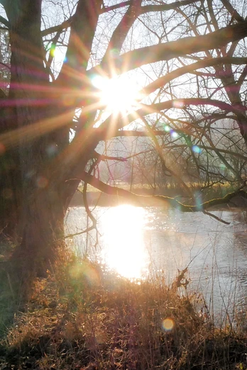 Die tief stehende Wintersonne scheint durch die Äste eines Baumes über dem fließenden Gewässer.