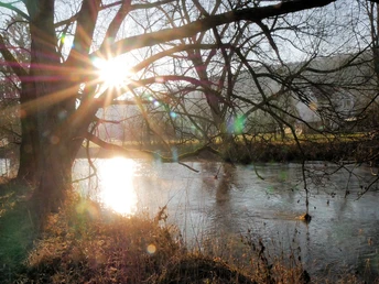 Nethe im Winter Die tief stehende Wintersonne scheint durch die Äste eines Baumes über dem fließenden Gewässer.
