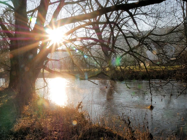 Nethe im Winter Die tief stehende Wintersonne scheint durch die Äste eines Baumes über dem fließenden Gewässer.