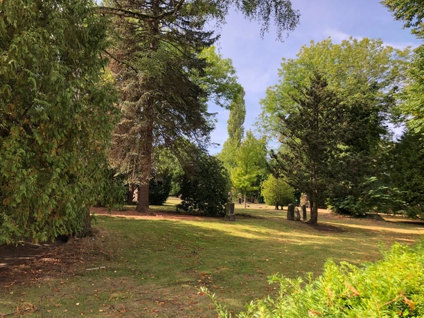 Alter Friedhof Neustadt Grüne Wiese mit alten Bäumen und einigen Grabsteinen unter blauem Himmel, ruhige Atmosphäre.