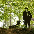 Eine dunkle Schäferskulptur steht neben einem Schäferhund im lichten Wald unter grünem Blätterdach.
