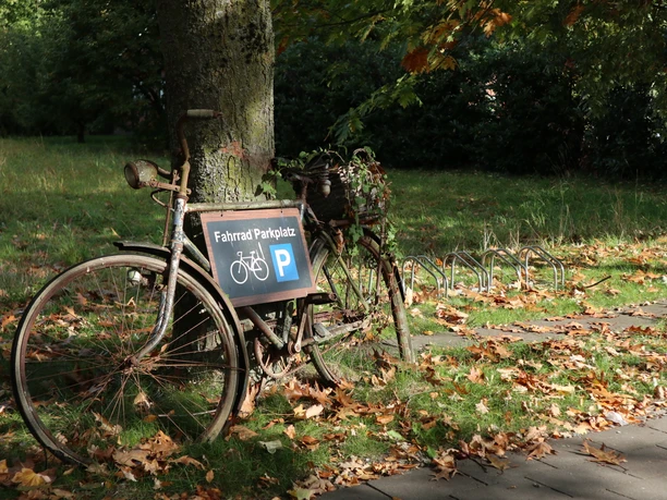 Fahrradparkplatz Ein altes, verrostetes Fahrrad lehnt als Dekoration an einem Baum neben einem Fahrradständer im Park.