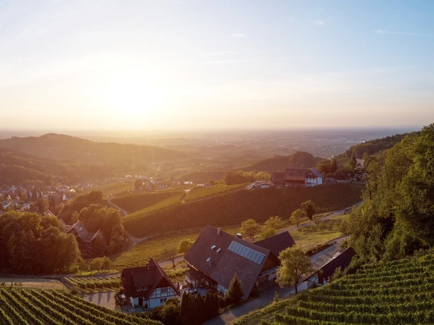 IMG_20190714_091402_260