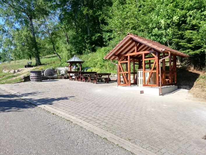 PHOTO 2021 07 08 13 10 11 6