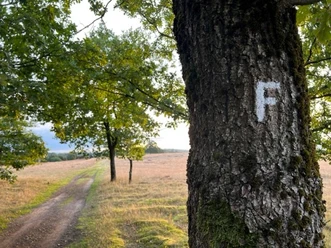 Freudenthalweg-Haverbeeke.jpg