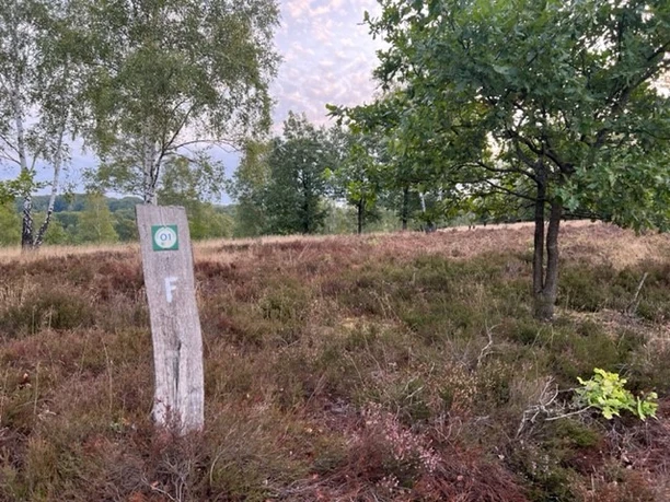 Freudenthalweg-Haverbeeke 1.jpg