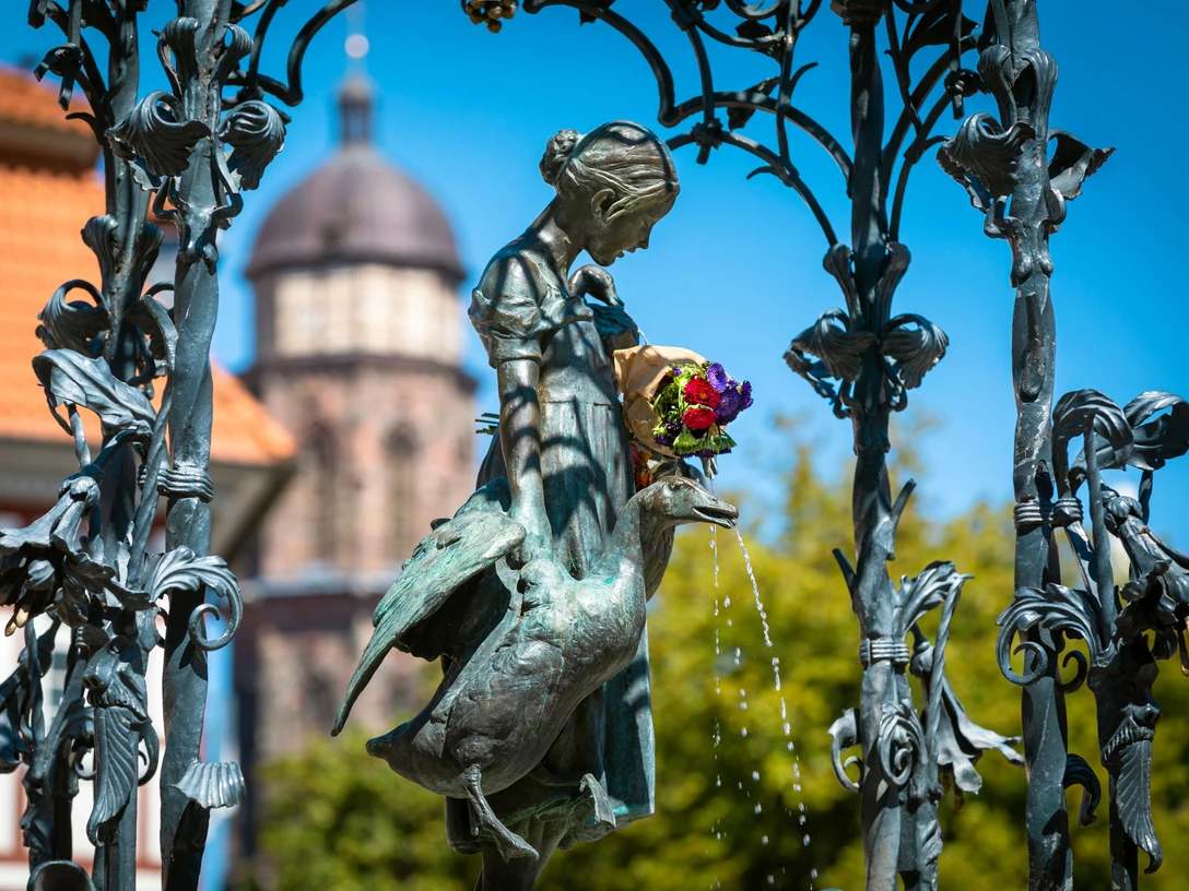 Gänseliesel GänselieselGoslingGoslingGosling