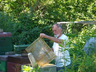Imker S. Kersten