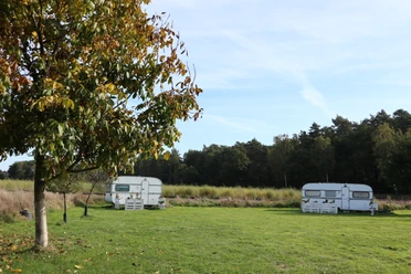 Landvergnügen Zwei weiße Wohnwagen stehen auf einer grünen Wiese, flankiert von einem Baum im Herbstlaub.