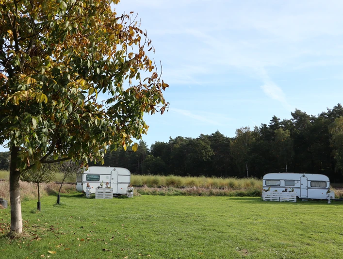 Landvergnügen Zwei weiße Wohnwagen stehen auf einer grünen Wiese, flankiert von einem Baum im Herbstlaub.