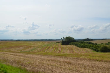 Landschaft nahe Ratingen-Homberg Weites Feld mit sanften Erhebungen unter blauem Himmel, gesäumt von Bäumen am Horizont.