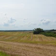 Landschaft nahe Ratingen-Homberg Weites Feld mit sanften Erhebungen unter blauem Himmel, gesäumt von Bäumen am Horizont.