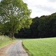 Wanderweg in Ratingen Ein schmaler, befestigter Weg führt durch grüne Wiesen und Bäume. Im Hintergrund ist ein Wald.