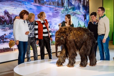 Vorstellung des Babymammuts Tinka während einer Führung im Neanderthal Museum in Mettmann Gruppenführung vor einem Babymammut-Modell im Neanderthal Museum Mettmann, moderiert von einer Guide.
