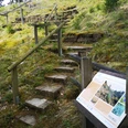 Steinerne Treppenstufen führen durch einen hügeligen, grasbewachsenen Waldpfad mit Infotafel.