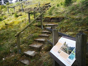 Wanderweg an den Bleikuhlen bei Blankenrode Steinerne Treppenstufen führen durch einen hügeligen, grasbewachsenen Waldpfad mit Infotafel.