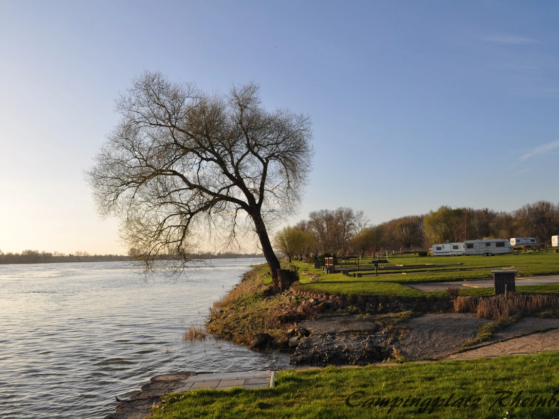 Campingplatz Rheinblick in Monheim am Rhein Ruhiger Campingplatz am Rhein mit Bäumen, Wohnwagen und Grünflächen unter einem klaren Himmel.