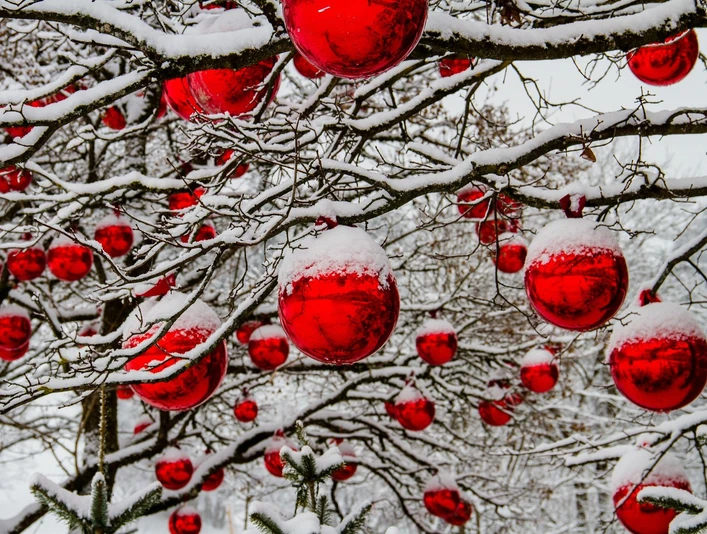 christmas-3009720_1920 c) 5598375-piaxabay.jpg