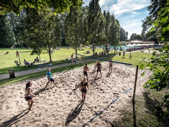 Mehrere Personen spielen Beachvolleyball auf einem Sandfeld in einem grünen Park bei sonnigem Wetter.