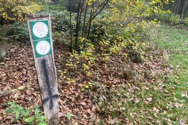 image00015.jpeg