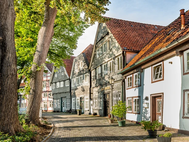 Charmante alte Fachwerkhäuser mit roten Ziegeldächern säumen eine gepflasterte, von Bäumen beschattete Straße.