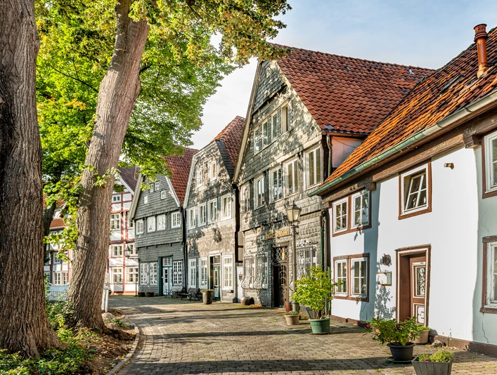 Charmante alte Fachwerkhäuser mit roten Ziegeldächern säumen eine gepflasterte, von Bäumen beschattete Straße.