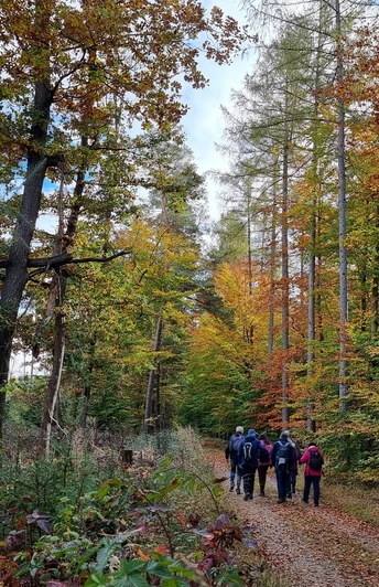 Eisenberg-Steig im Herbst
