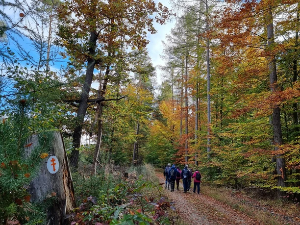 Eisenberg-Steig im Herbst