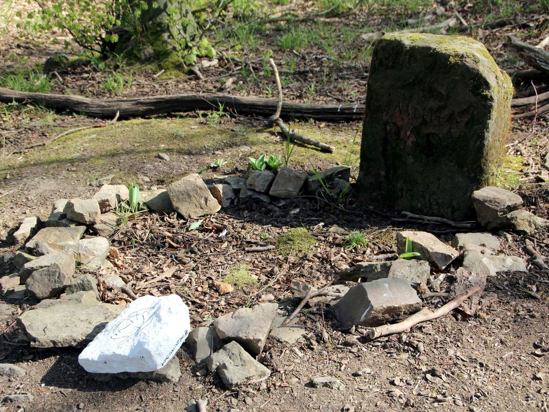 IMG_2593.JPG Steinrunde im Wald mit Moos und Schatten, umgeben von Bäumen, eine mystische und naturverbundene Szene.
