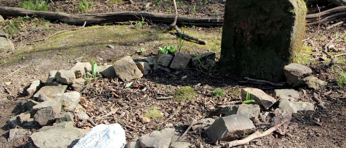 IMG_2593.JPG Steinrunde im Wald mit Moos und Schatten, umgeben von Bäumen, eine mystische und naturverbundene Szene.