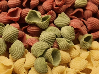 IMG_2020 - Kopie (002).JPG