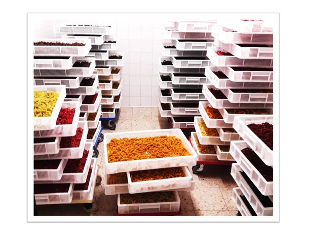 Präsentation2 (002).jpg