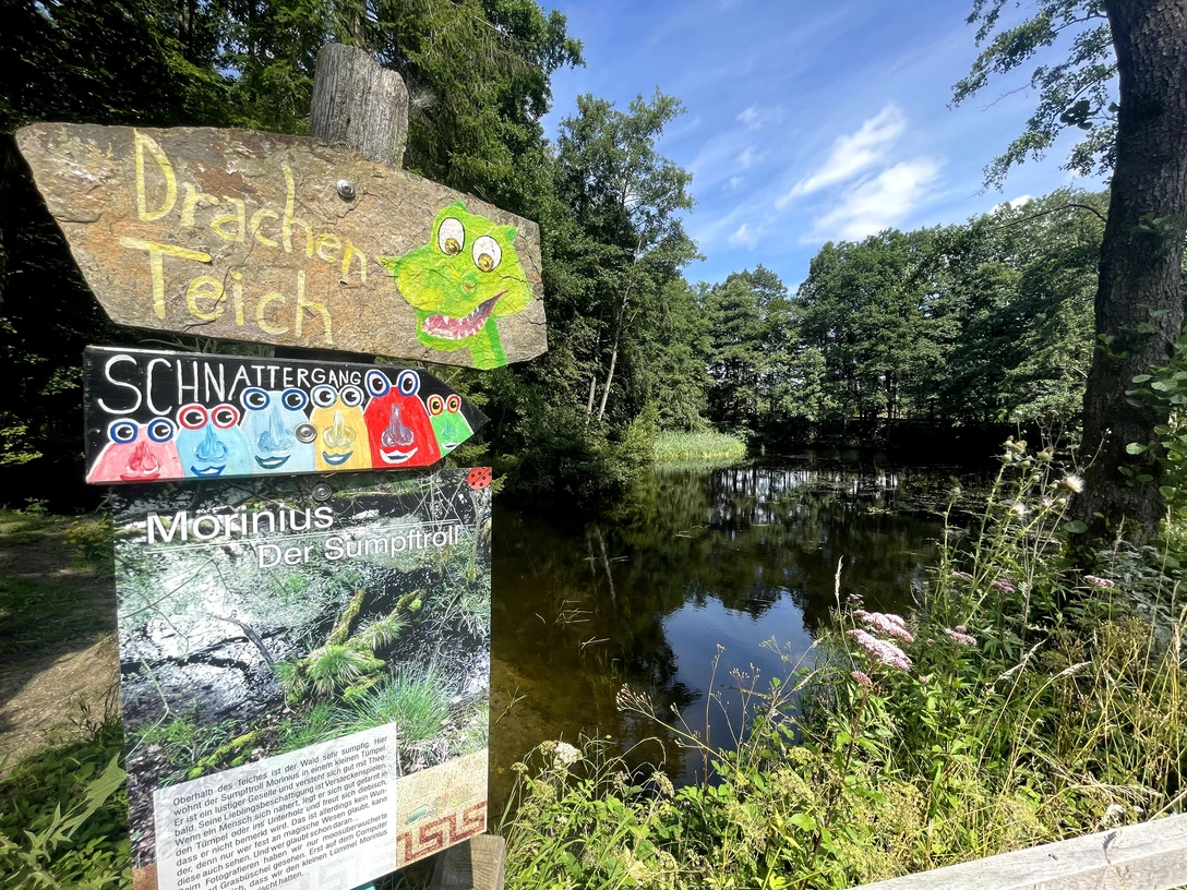 Holztafel mit Drache und Infos vor einem Teich, umgeben von üppigem Grün und wildem Bewuchs.