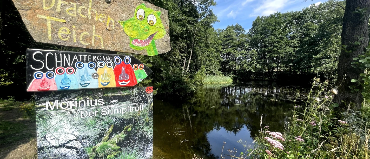Holztafel mit Drache und Infos vor einem Teich, umgeben von üppigem Grün und wildem Bewuchs.