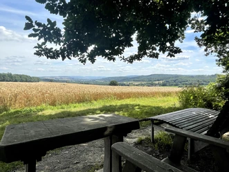 Holztisch und -bank unter einem Baum mit Blick auf ein goldenes Weizenfeld und hügelige Landschaft.