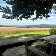 IMG_2914.jpg Holztisch und -bank unter einem Baum mit Blick auf ein goldenes Weizenfeld und hügelige Landschaft.