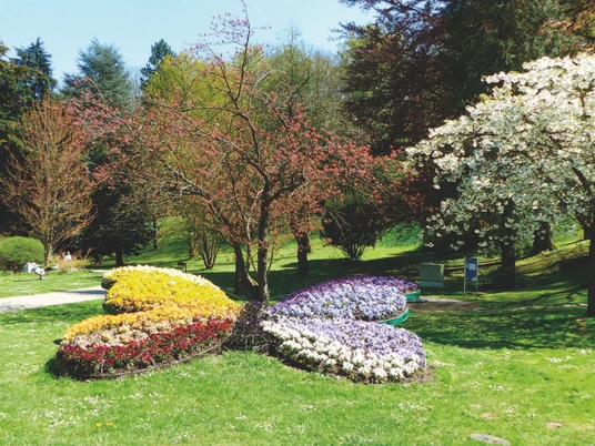 Schmetterling im Kurpark