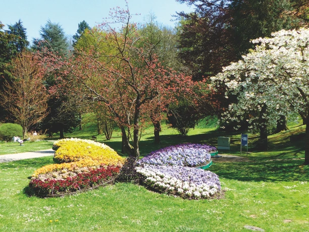 Schmetterling im Kurpark