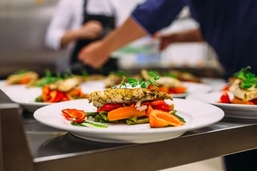 Ein kunstvoll angerichteter Teller mit gegrilltem Fisch, Gemüse und frischen Kräutern im Restaurant.