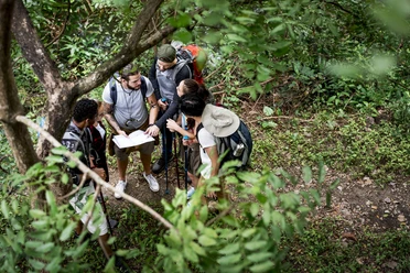 Trekking together in a forest Trekking together in a forest