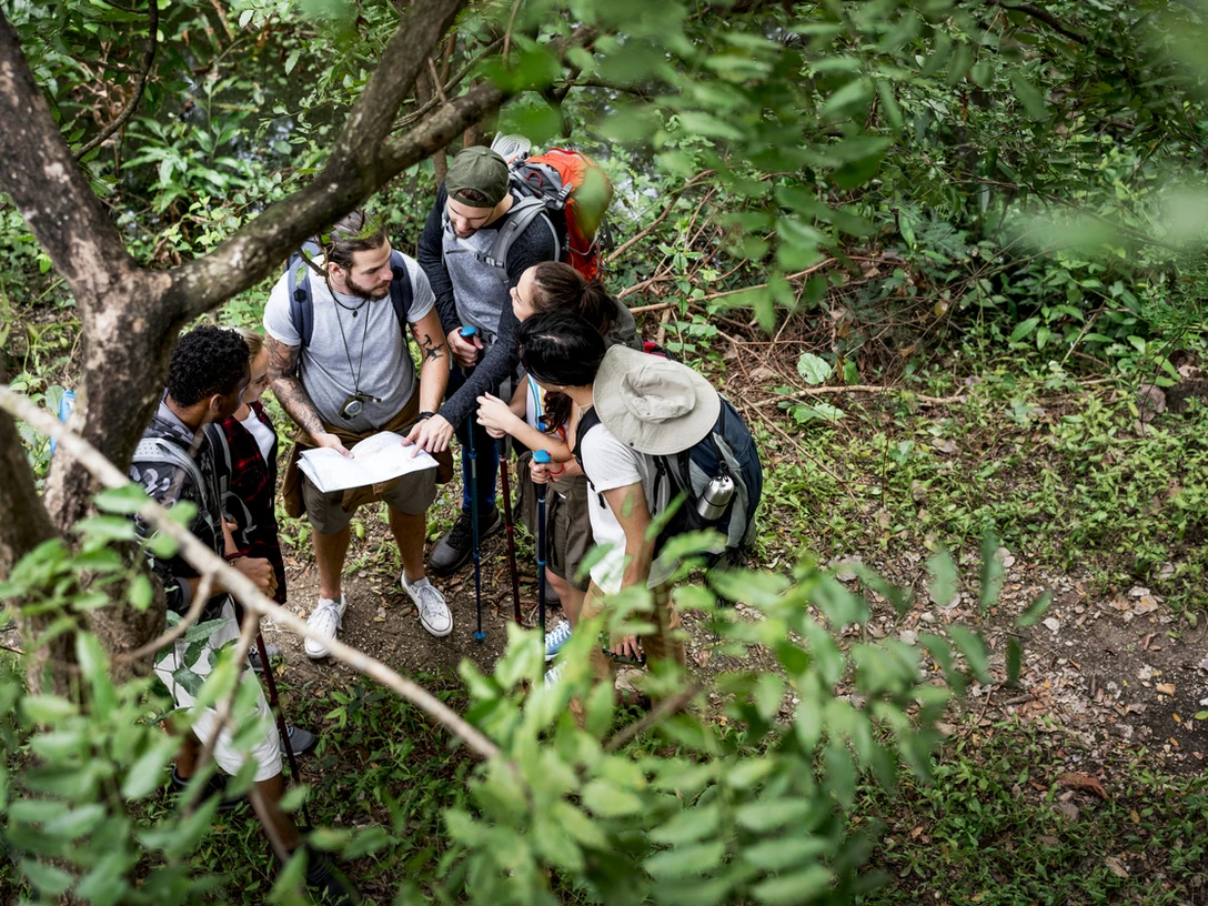 Trekking together in a forest Trekking together in a forest