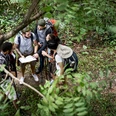 Trekking together in a forest Trekking together in a forest