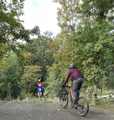Bikepark-Abfahrt mit einem Mountainbiker, umgeben von herbstlichen Bäumen und Wegweisern.