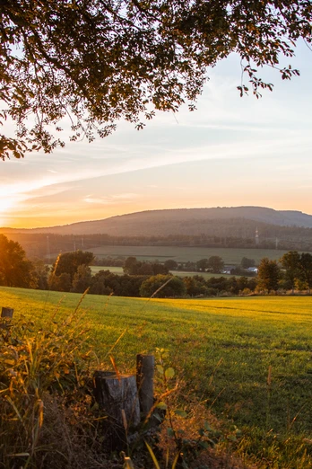 Weite Wiesen mit vereinzelten Bäumen bei Sonnenuntergang, sanfte Hügel im Hintergrund.