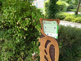 Hörstation "Der Steinauer Kirchenbau"